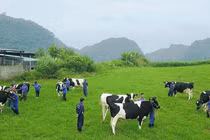 Vi phạm công bố thông tin, GTNFoods bị xử phạt 70 triệu đồng