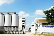 Halico lại có thêm quý làm ăn thua lỗ