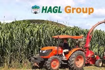 Tổng giám đốc HAGL Agrico nói gì về kết quả lỗ khủng 2.325 tỷ năm 2019?