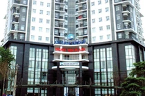 Vì sao cổ phiếu OGC đột nhiên "dậy sóng"?