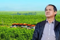 Hoàng Anh Gia Lai của bầu Đức lỗ ngàn tỷ năm 2019, ai gánh hộ?