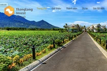 "Soi" tài chính của Đầu tư Thăng Long sau lùm xùm sai phạm dự án Vườn Vua