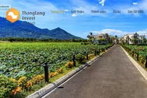 "Soi" tài chính của Đầu tư Thăng Long sau lùm xùm sai phạm dự án Vườn Vua