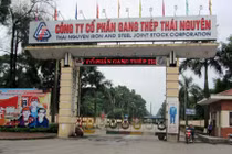 Gang thép Thái Nguyên báo lãi ròng quý 1/2020 vỏn vẹn 4 tỷ