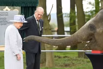Loạt ảnh quý hiếm minh chứng Nữ hoàng Elizabeth II rất yêu động vật 