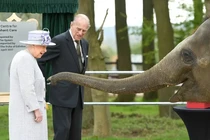 Loạt ảnh quý hiếm minh chứng Nữ hoàng Elizabeth II rất yêu động vật 