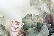 Dự đoán ngày mới 24/6/2020 cho 12 con giáp