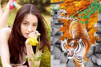 Từ Thất tịch đến hết năm: 4 con giáp rũ sạch vận đen, tình tiền đỏ chói 