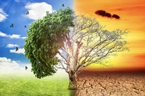 Vì nguyên nhân gây sốc này, Trái đất có thể thành hành tinh hỗn loạn