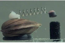 Kinh ngạc 8 con vật tí hon nắm quyền “sinh sát” của cả thành phố 