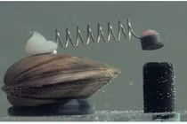 Kinh ngạc 8 con vật tí hon nắm quyền “sinh sát” của cả thành phố 