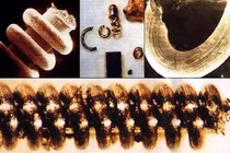 Phát hiện cấu trúc tinh vi 300.000 năm trước, chuyên gia cực bối rối