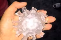 Mưa đá hình virus Corona bất ngờ dội xuống: Điềm báo gì? 