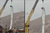 “Cá thảm họa” xuất hiện, dự báo chính xác siêu bão ở Nhật Bản? 