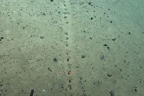 Phát hiện dấu tích lạ dưới Đại Tây Dương: Của người ngoài hành tinh?