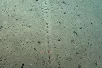 Phát hiện dấu tích lạ dưới Đại Tây Dương: Của người ngoài hành tinh?