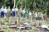 Hàng chục động vật được thả về rừng ở Hà Tĩnh: Quý hiếm sao?