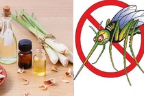 Chuyên gia mách nước: Đuổi muỗi cách này vừa khoa học vừa an toàn