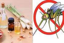 Chuyên gia mách nước: Đuổi muỗi cách này vừa khoa học vừa an toàn