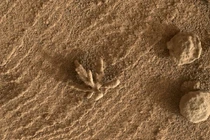 Tàu NASA phát hiện vật lạ trên sao Hỏa, chuyên gia lập tức lý giải 