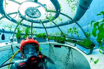 Cảnh tượng kinh ngạc ở khu vườn dưới đáy biển độc nhất hành tinh 