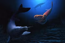 Trái đất là hành tinh chứa đầy quái vật ghê gớm hơn khủng long