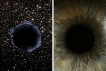 Cơ thể của mỗi người chính là một vũ trụ, đây là bằng chứng! 