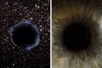 Cơ thể của mỗi người chính là một vũ trụ, đây là bằng chứng! 