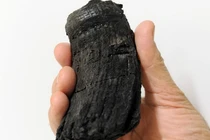 Bất ngờ xác “quái vật biển sâu” được tìm thấy ở độ cao 2.700m