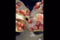 Lôi quả mọc từ bùn, ngã ngửa khi thấy thứ bên trong 