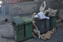 Rợn người những hình ảnh đáng sợ được Google Maps vô tình ghi lại