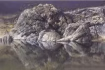 Những sự kiện thần bí không lời giải chấn động nhất mọi thời đại 