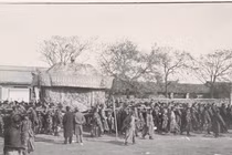 Lộ chi tiết xa xỉ chết người trong đám tang Từ Hi Thái hậu