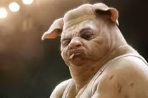 Bí ẩn người lợn từng khiến dân Mỹ ám ảnh không ngừng 