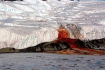 Nam Cực bất ngờ xuất hiện "tuyết máu", chuyên gia lo ngay ngáy 