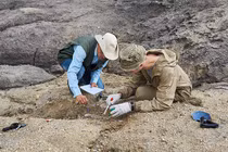 Sửng sốt thấy cây gia phả lâu đời nhất trong mộ cổ nghìn năm