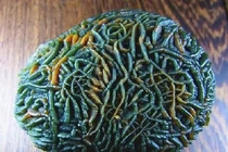 Nhặt đá lạ "ngoài hành tinh", chàng trai vỡ òa khi biết giá trị thật 