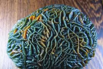 Nhặt đá lạ "ngoài hành tinh", chàng trai vỡ òa khi biết giá trị thật 