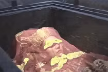 Mở quan tài đỏ tươi kỳ quái, tái mặt thấy thứ bên trong 