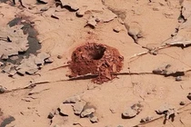 Nóng: Sự sống đang “lẩn trốn” 2m dưới bề mặt sao Hoả?