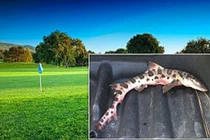 Top hiện tượng kỳ quái không lời giải thách thức cả nhân loại 