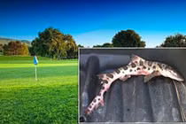 Top hiện tượng kỳ quái không lời giải thách thức cả nhân loại 