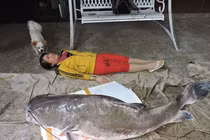 Những lần cá “khủng” sa lưới ngư dân Việt khiến dư luận ngỡ ngàng 