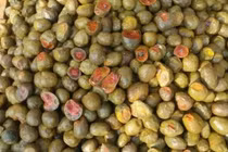 Đào được “trứng vịt” trên núi, ngã ngửa khi biết báu vật thời Chiến Quốc 