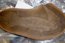 Xem phiến đá bị tách đôi, phát hiện sinh vật bí ẩn nhất Trái đất