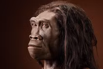 Sốc nặng về sinh vật ăn thịt quái thú, mang dòng máu người 