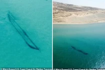 Kỳ bí hồ nước đáng sợ hơn Bermuda: 2.500 con tàu mất hút 