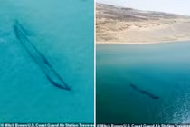 Kỳ bí hồ nước đáng sợ hơn Bermuda: 2.500 con tàu mất hút 