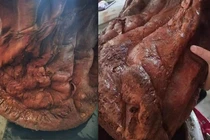 Đem thứ bỏ đi về nhà, người đàn ông “vớ bẫm” kho báu khủng