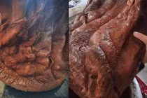 Đem thứ bỏ đi về nhà, người đàn ông “vớ bẫm” kho báu khủng